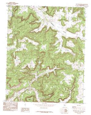 Delgadita Mesa USGS topographic map 36107f5