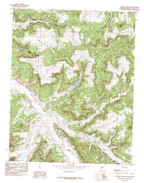 Cutter Canyon USGS topographic map 36107f6