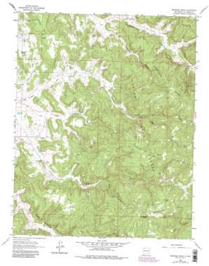 Espinosa Ranch USGS topographic map 36107g3
