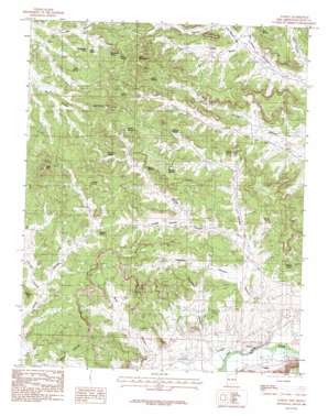 Turley topo map