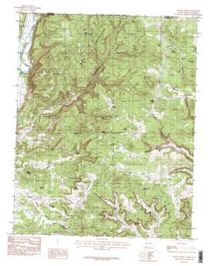 Mount Nebo USGS topographic map 36107h7