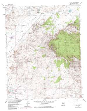 Youngs Lake topo map