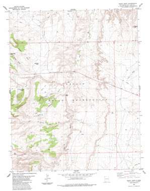 Rocky Point topo map