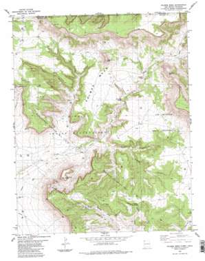 Palmer Mesa topo map