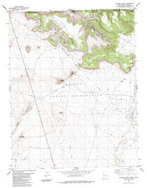 Skinney Rock USGS topographic map 36108h6