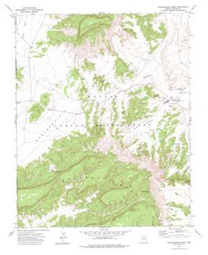 Toadimdaaska Mesa USGS topographic map 36109a8