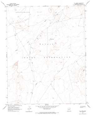Tall Mesa USGS topographic map 36109f7