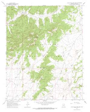 Little Black Spot Mountain USGS topographic map 36110a3