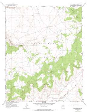 Rocky Ridge SW USGS topographic map 36110a6