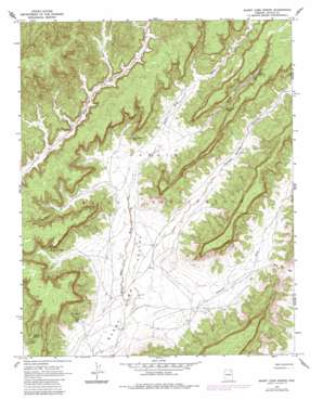 Burnt Corn Spring USGS topographic map 36110b1