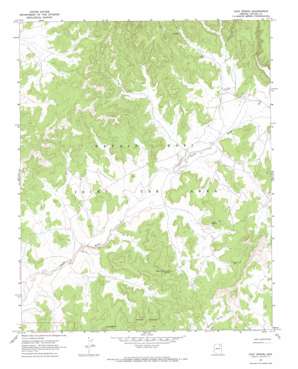 Coat Spring USGS topographic map 36110b3