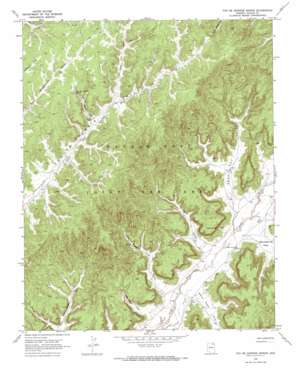 Toh Ne Zhonnie Spring USGS topographic map 36110c2
