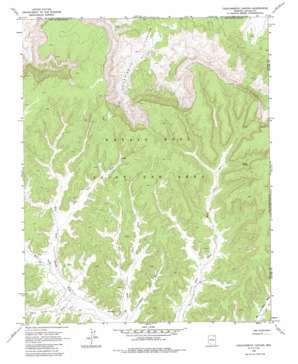 Chilchinbito Canyon USGS topographic map 36110d1
