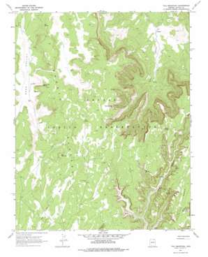 Tall Mountain USGS topographic map 36110g5