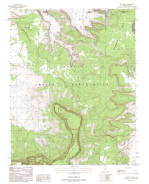 Big Point topo map