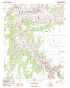 Cedar Tree Bench USGS topographic map 36111g2
