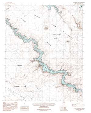 Wild Horse Mesa topo map