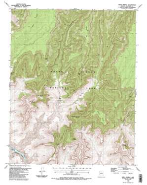 Shiva Temple USGS topographic map 36112b2