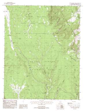 Little Park Lake USGS topographic map 36112c1