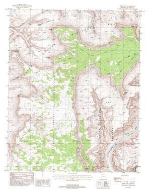 Fossil Bay topo map