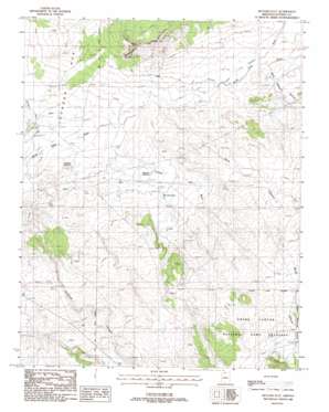 Muggins Flat topo map