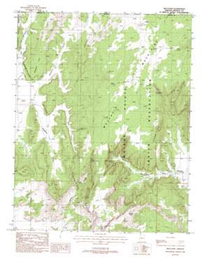 Moccasin USGS topographic map 36112h7