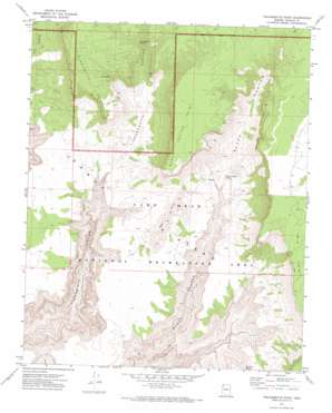 Tincanebitts Point USGS topographic map 36113a6