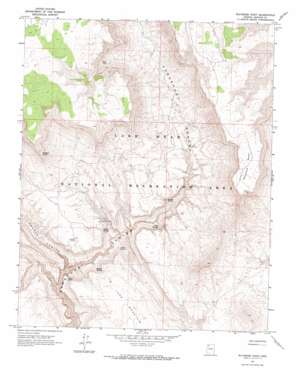 Whitmore Point topo map