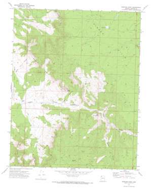 Mustang Point USGS topographic map 36113c6