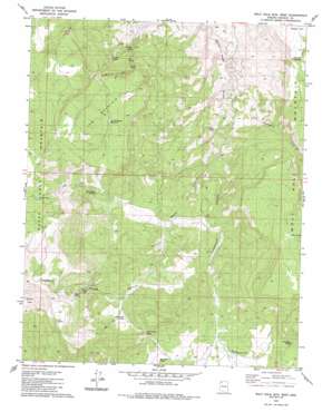 Wolf Hole Mountain West topo map