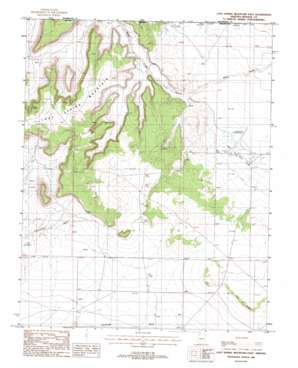 Lost Spring Mountain East topo map
