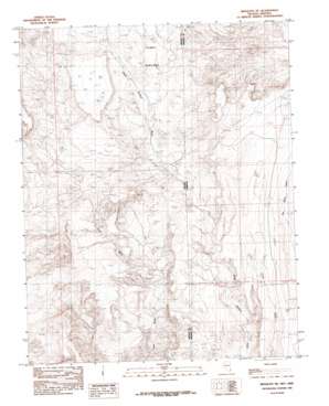 Mesquite Ne USGS topographic map 36114h1