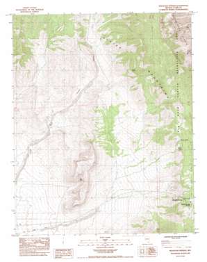 Mountain Springs USGS topographic map 36115a5