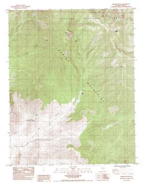 Griffith Peak topo map
