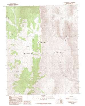 Hayford Peak SE USGS topographic map 36115e1