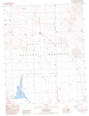 Beatty Junction topo map