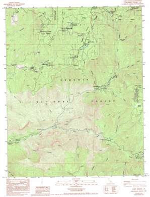 Camp Wishon topo map