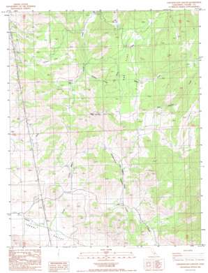 Chickencoop Canyon topo map