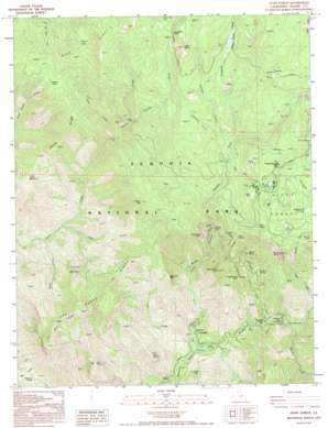 Giant Forest topo map