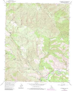 Sycamore Flat topo map