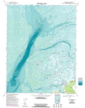 Chesconessex USGS topographic map 37075g7
