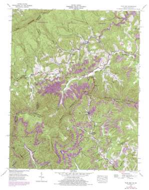 Flat Gap USGS topographic map 37082a6