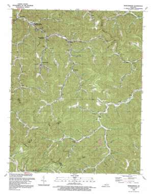 Wheelwright topo map