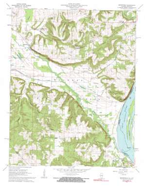 Brownfield topo map
