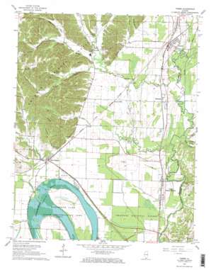 Tamms USGS topographic map 37089b3