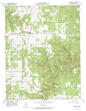 Raymondville USGS topographic map 37091c7
