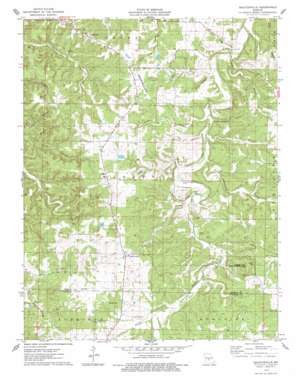 Decaturville USGS topographic map 37092h6