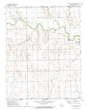 Bluff City West topo map