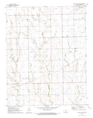 Bluff City NW USGS topographic map 37097b8