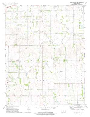 Pretty Prairie Sw topo map